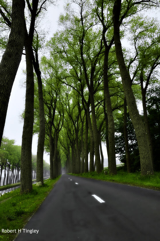 Belgium #168